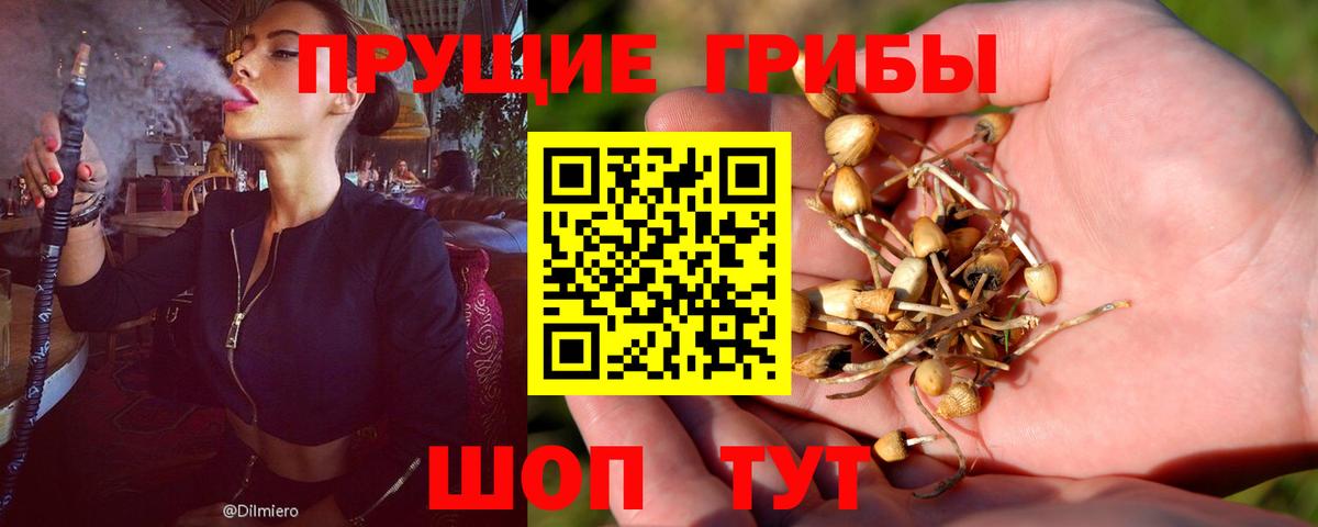Псилоцибиновые грибы Magic Shrooms Чернушка