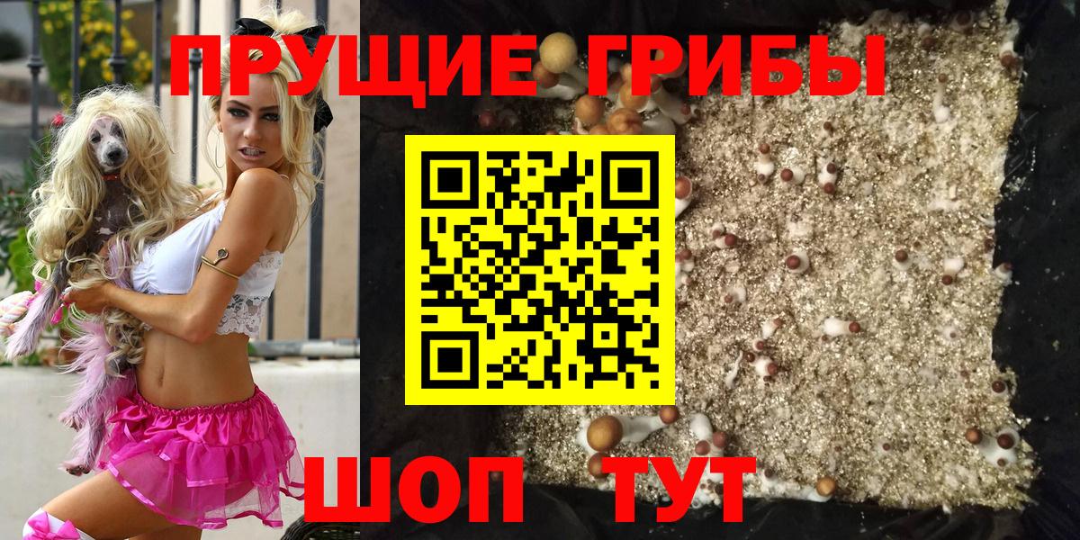 Чернушка  Галлюциногенные грибы мицелий  Вход с VPN 